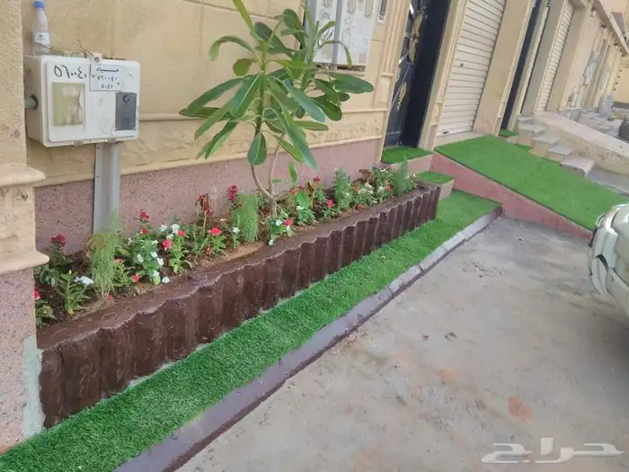 مشتل بيع الزهور والشتلات الزراعيه بجميع انواعها مع الصيانه ا 3