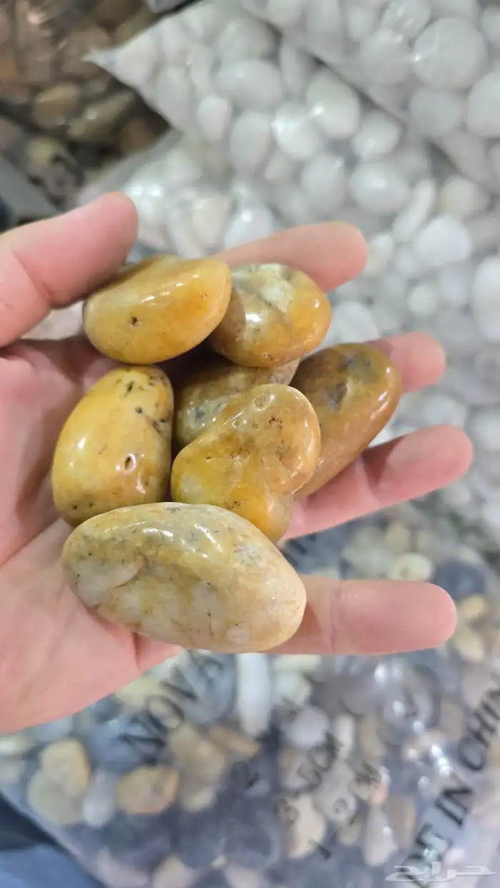 حجر لما.20...جحر متفى 15 1