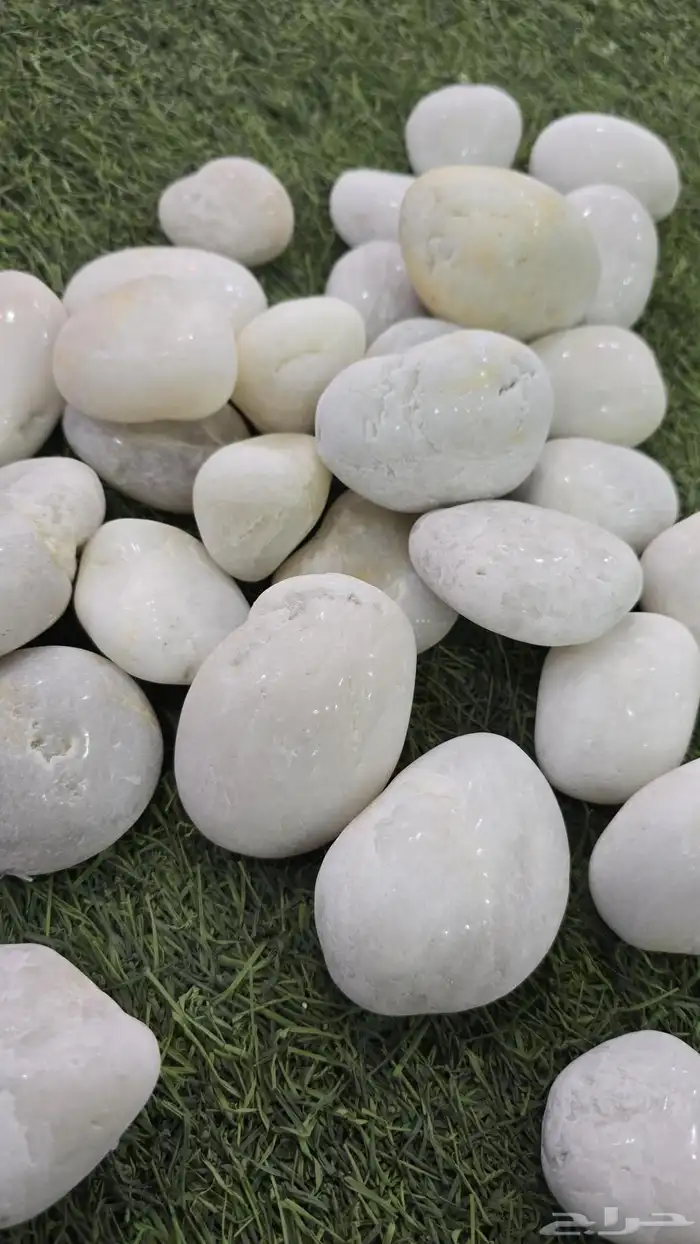 حجر لما.20...جحر متفى 15 3