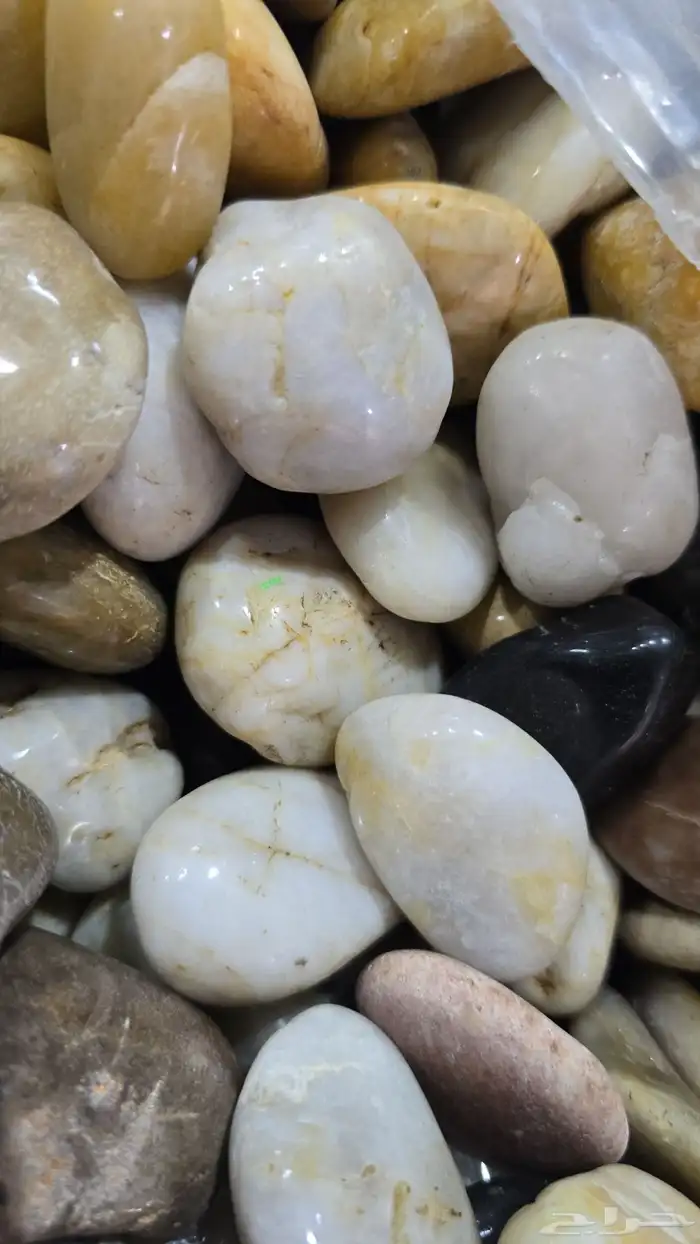 حجر لما.20...جحر متفى 15 2