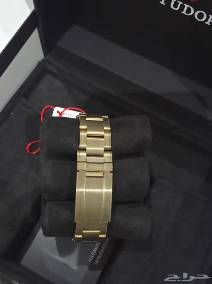 تيدور برونز Tudor 3