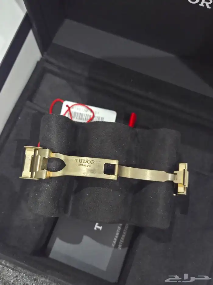 تيدور برونز Tudor 4