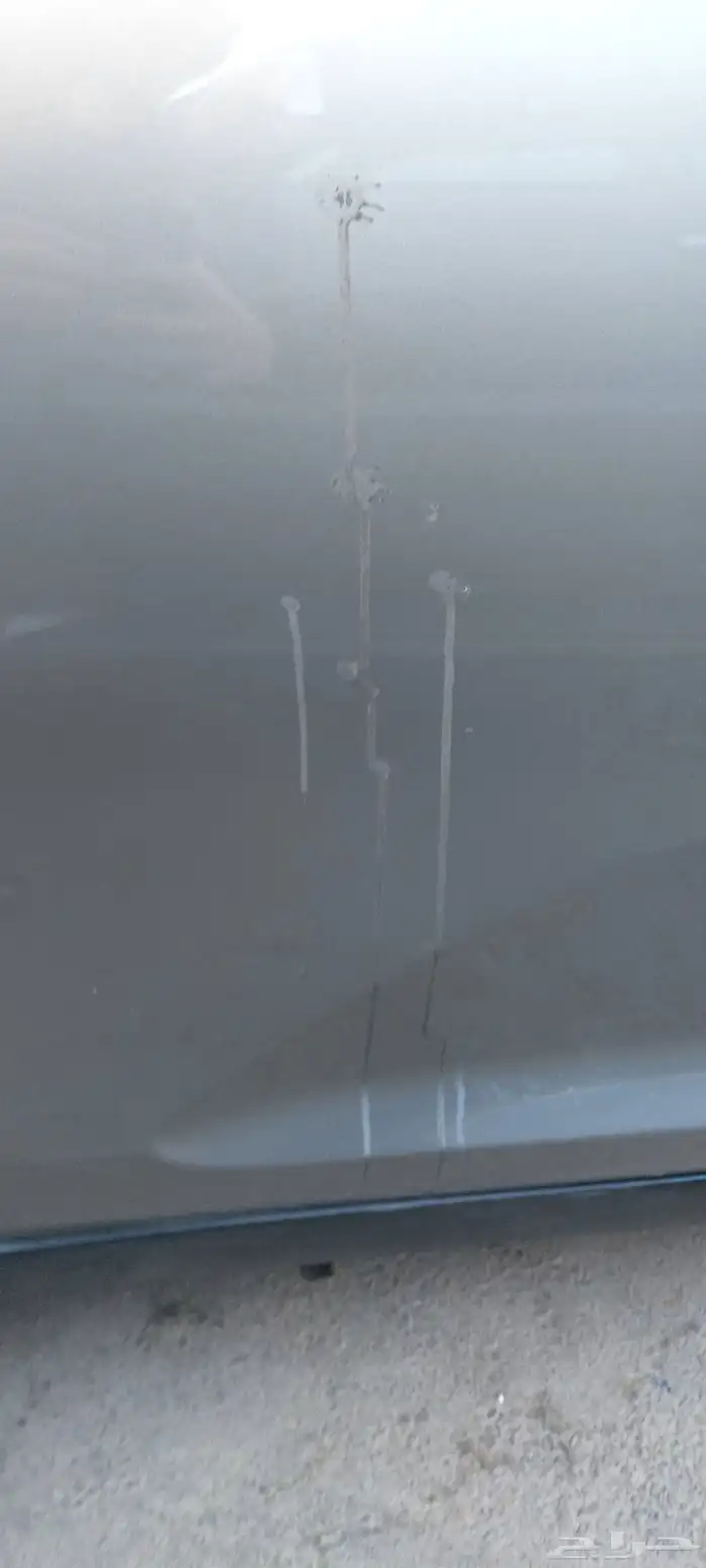 سبورتاج 2015 3