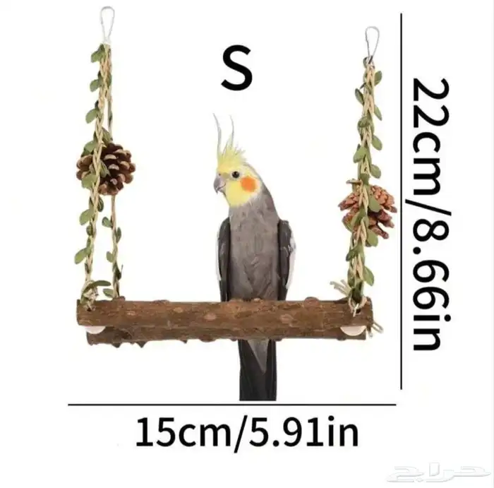 العاب ومستلزمات طيور وقطط متجر الكتروني ومتوفر تابي و تمارا 10