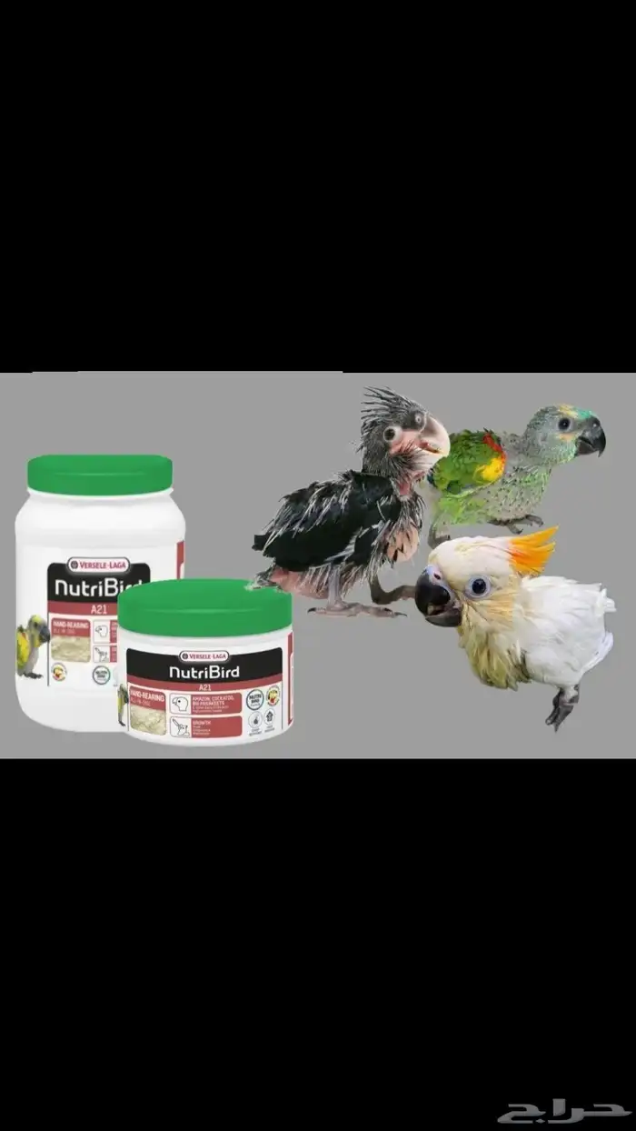 توفرت من جديد سيلايلاك A21 بروتين 800 إجرام و 250اجرام 1