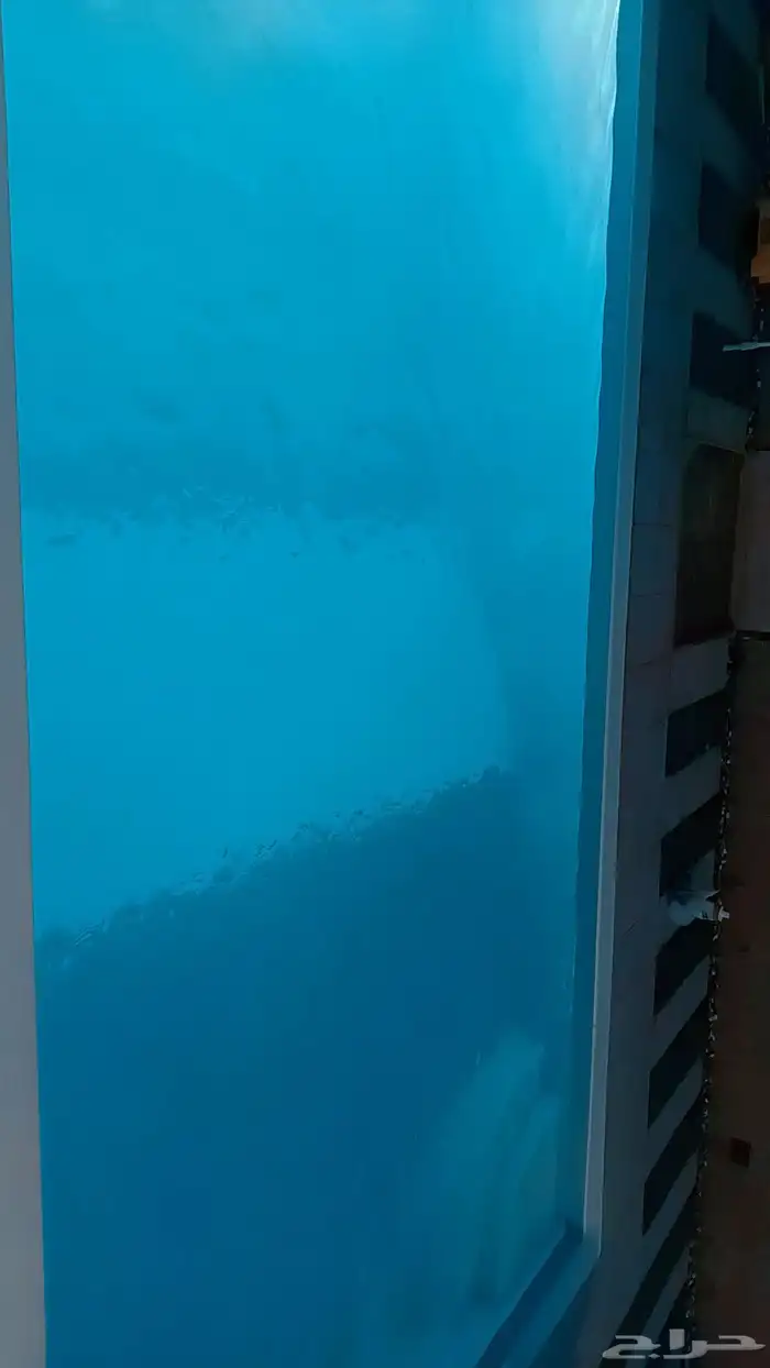 جميع اعمال حمامت السباحه والسباكه وكل مايخص اعمال المسابح 3