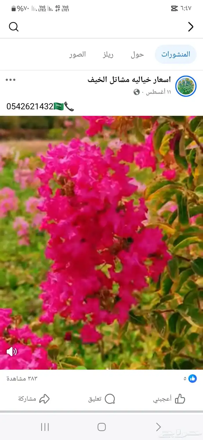 مشاتل تنسيق الحد ائق 7