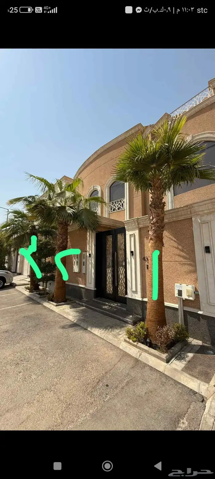 نقوم بتواريد وتركيب جميع انواع النخيل العربي والواشنطني 3