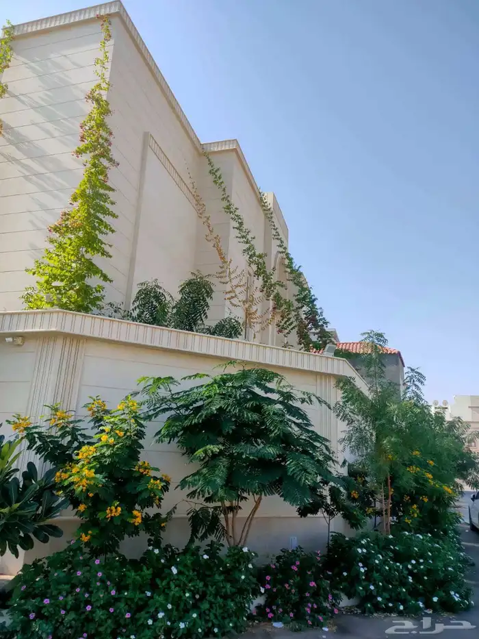 تصميم وتنسيق الحدائق بالاحساء 8