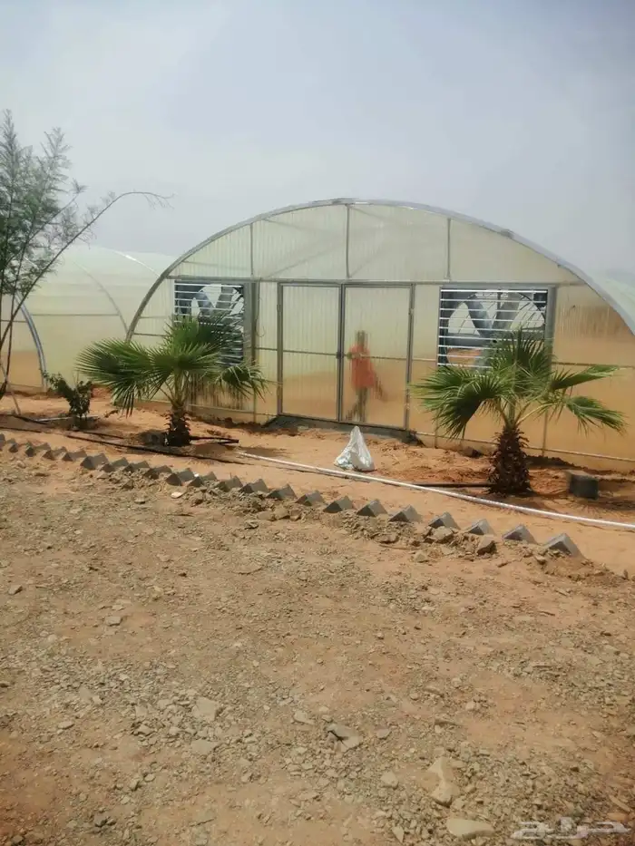 بيع وتركيب بيوت محمية وصالات زراعية وجميع مستلزماتها 4