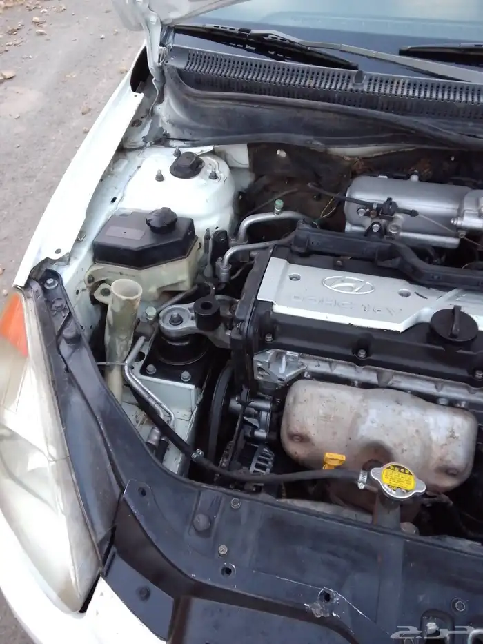 محايل عسير 8