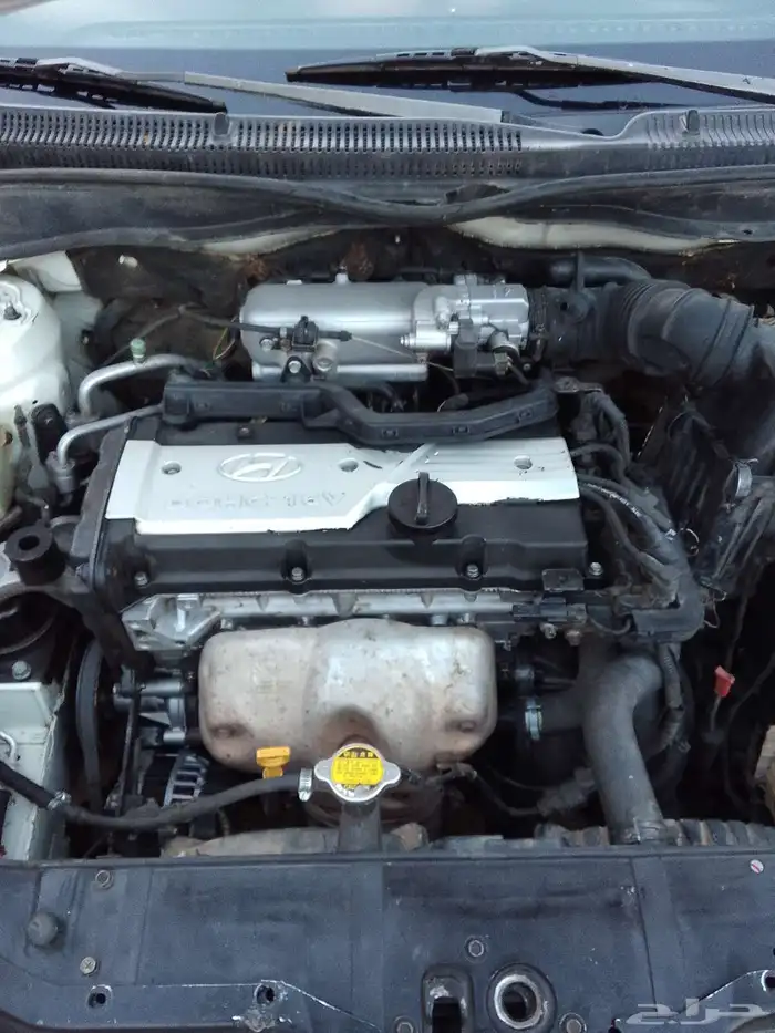 محايل عسير 17