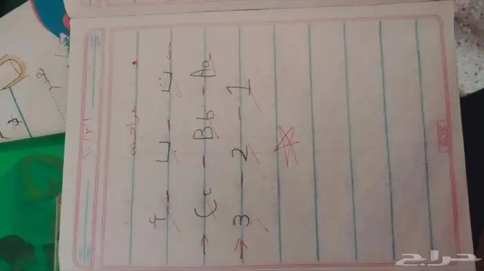 معلمة تأسيس ومتابعة للمرحلة الابتدائية ورياض الأطفال بالجبيل 4