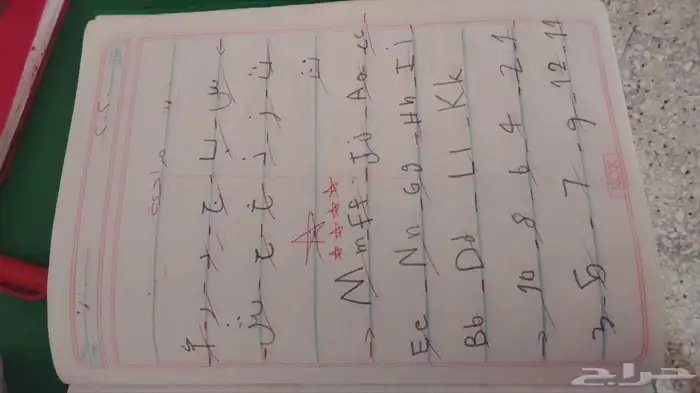 معلمة تأسيس ومتابعة للمرحلة الابتدائية ورياض الأطفال بالجبيل 5