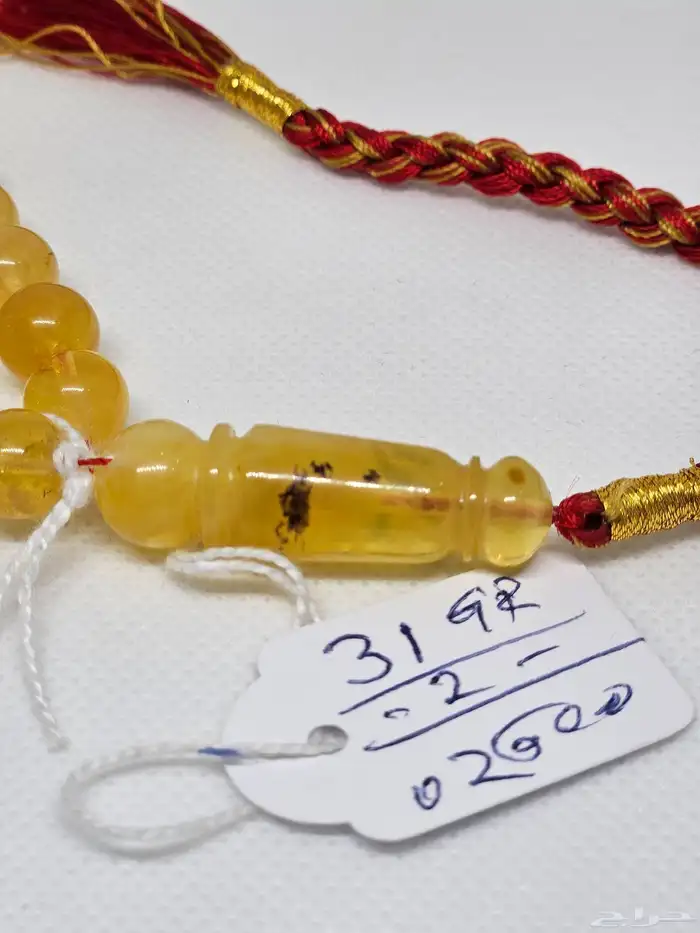 كهرمان كلينغرادي 2