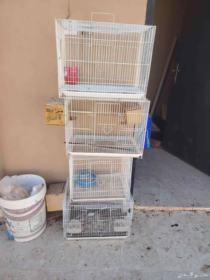 اربع اقفاص حجم 600 0