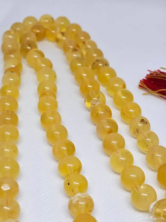 كهرمان كلينغرادي 1