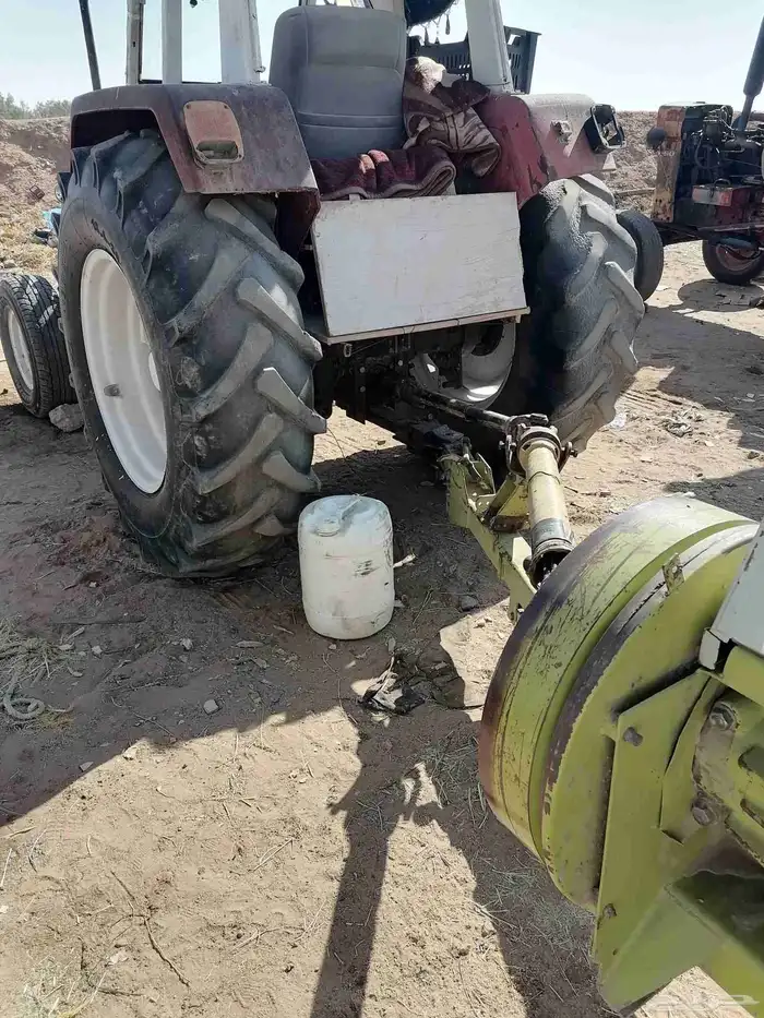 لابنا  لاس 5