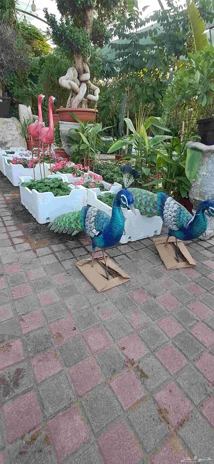 تنسيق الحدائق 4