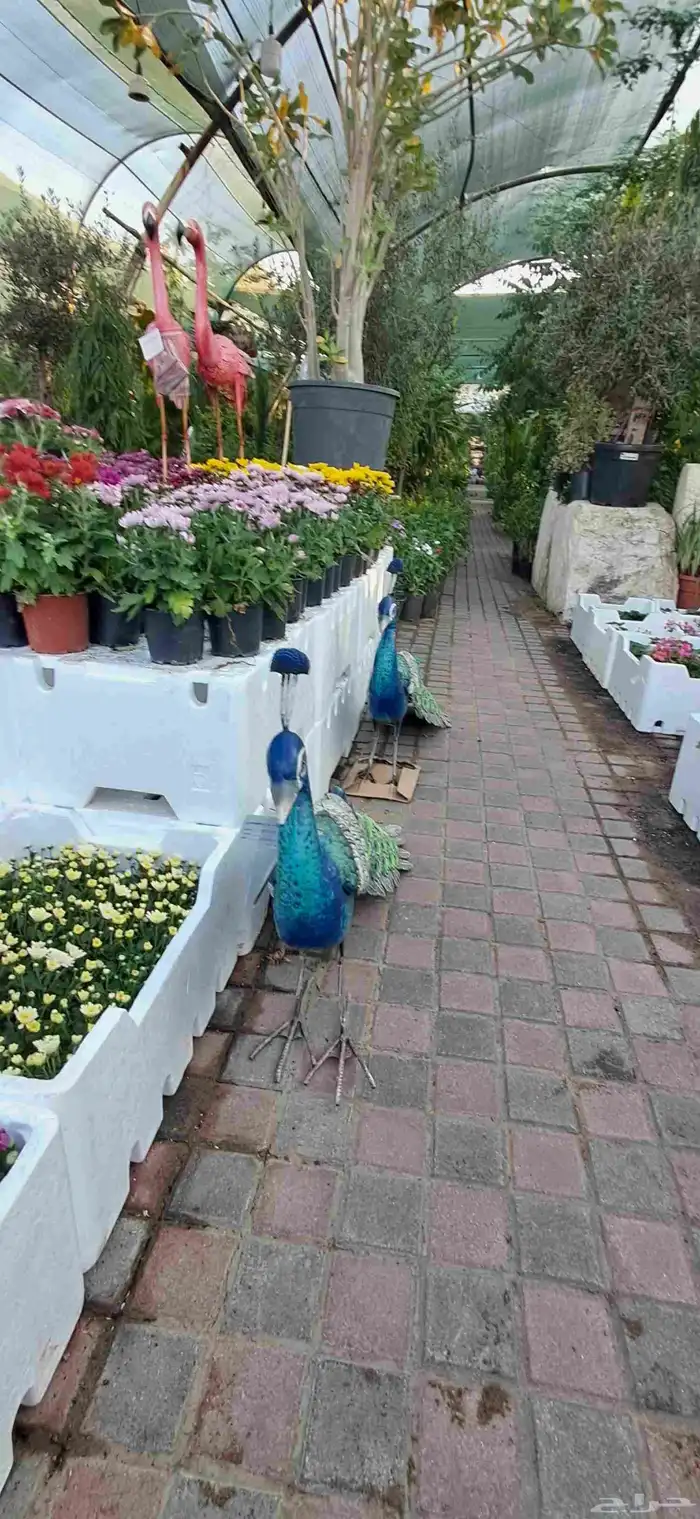 تنسيق الحدائق 2