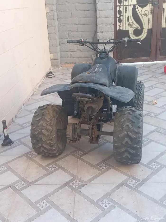 دباب للبيع 1