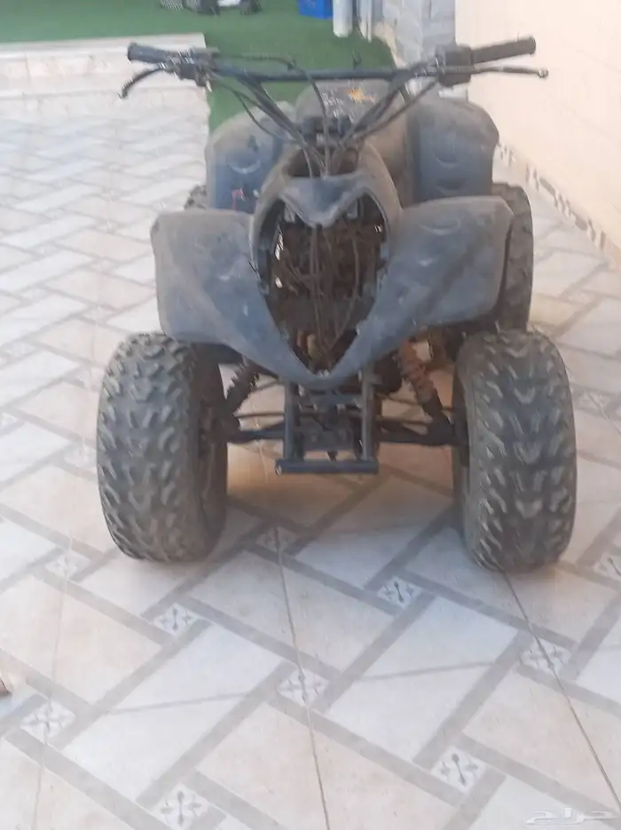 دباب للبيع 2