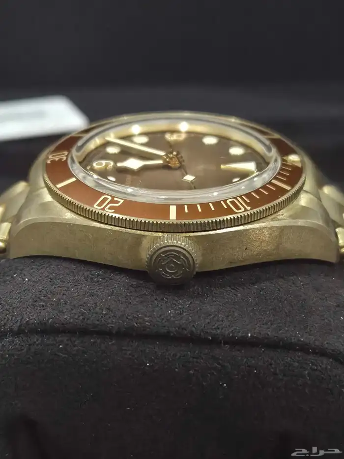 تيدور برونز Tudor 2