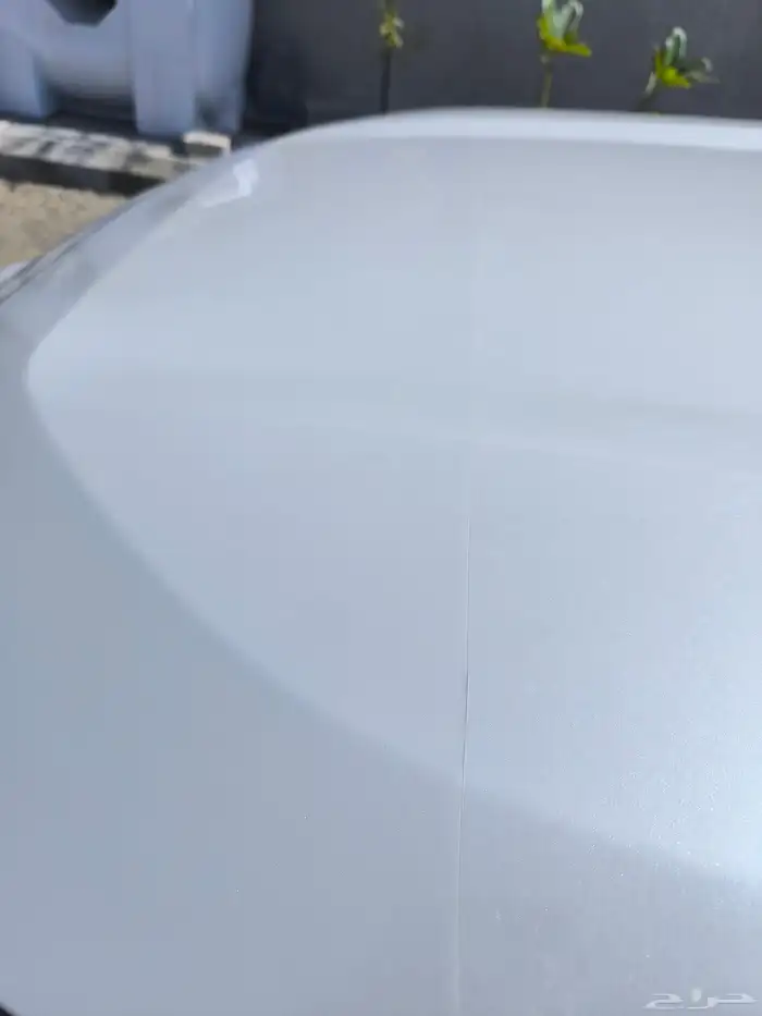 راف فور 2024 41