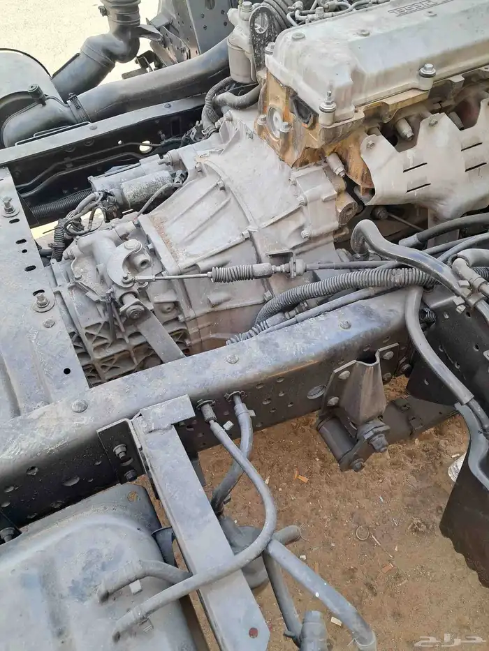 دينا ايسوزو 2005 17