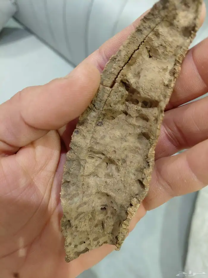 عود هندي طبيعي تربل عالي فآخر 3