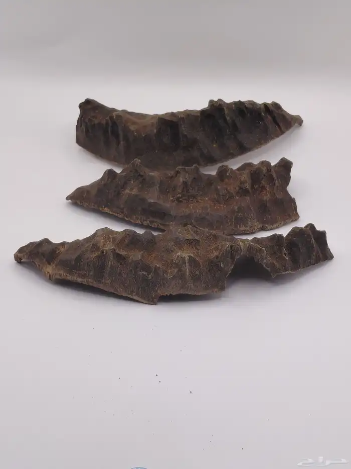 عود هندي طبيعي تربل عالي فآخر 1