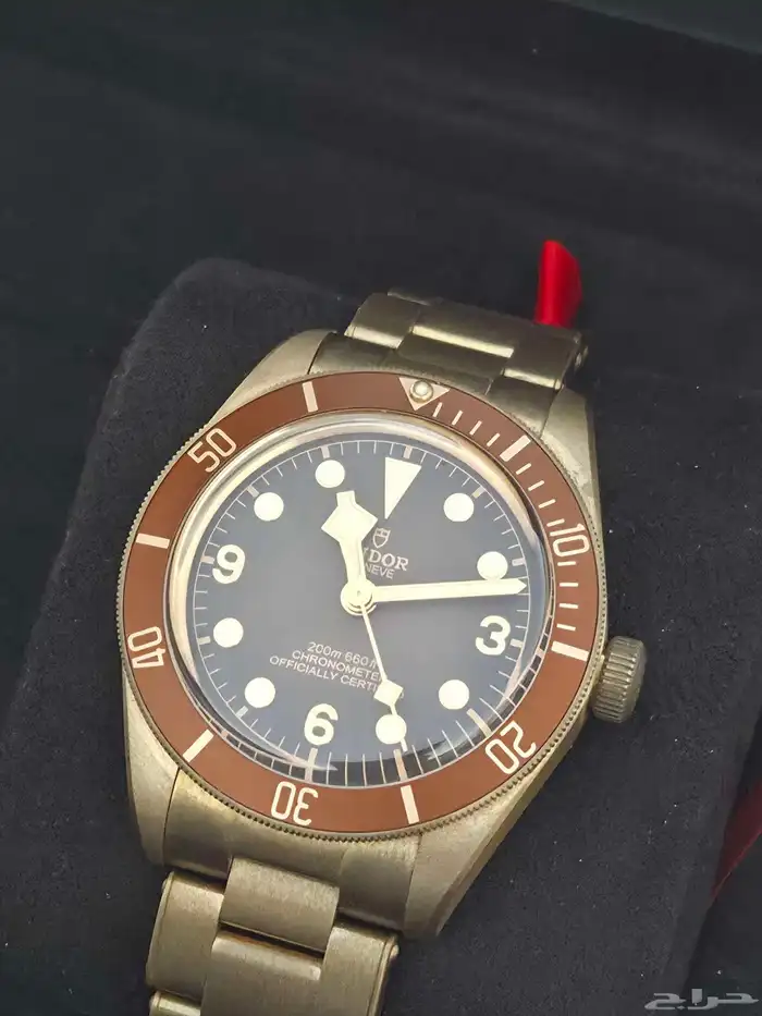 تيدور برونز Tudor 1