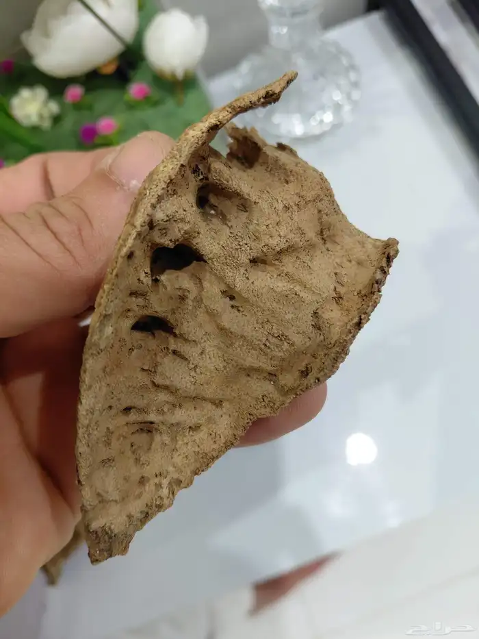 عود هندي طبيعي تربل عالي فآخر 4