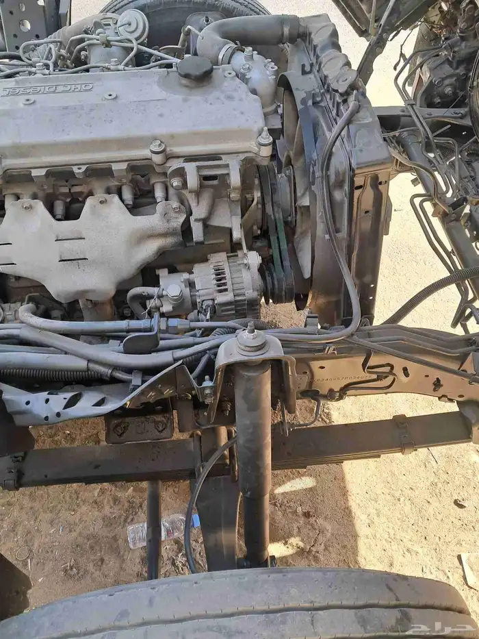 دينا ايسوزو 2005 16