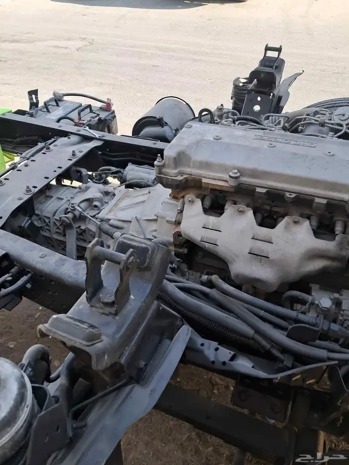 دينا ايسوزو 2005 12