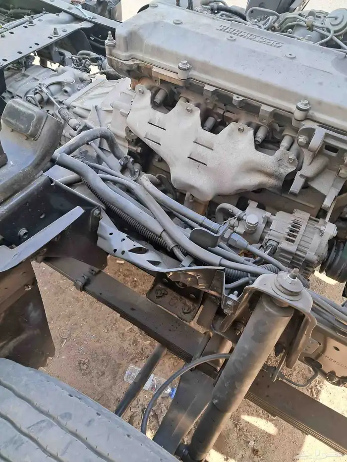 دينا ايسوزو 2005 18