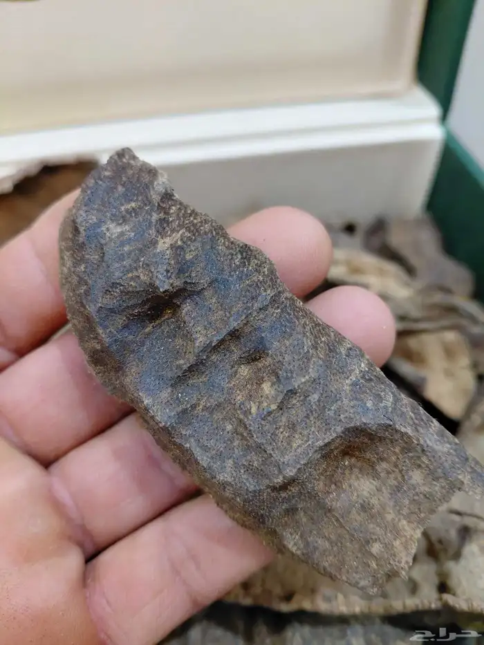 عود هندي طبيعي تربل عالي فآخر 2