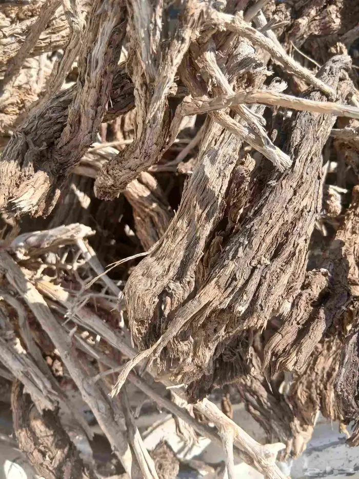 صندوق هايلوكس 0