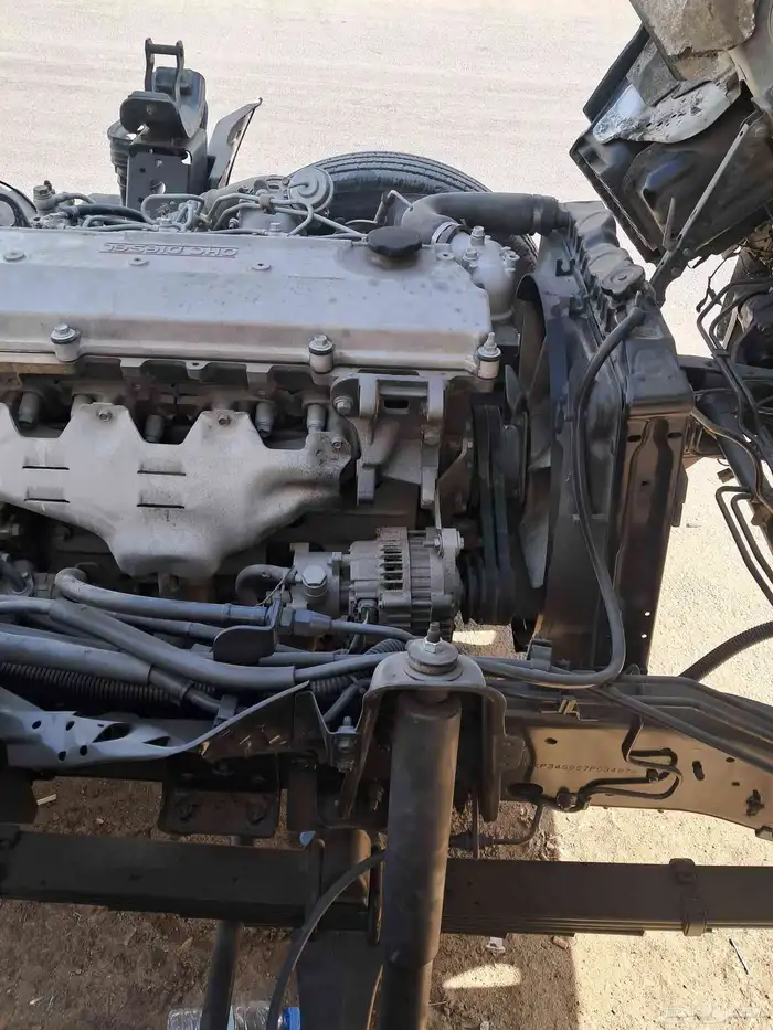 دينا ايسوزو 2005 13