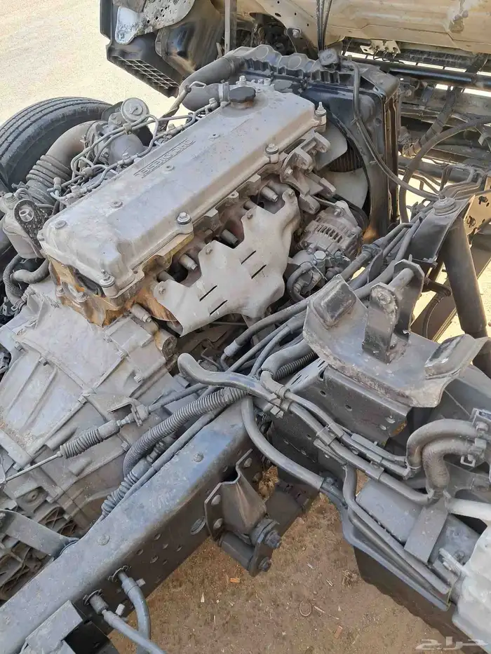 دينا ايسوزو 2005 11