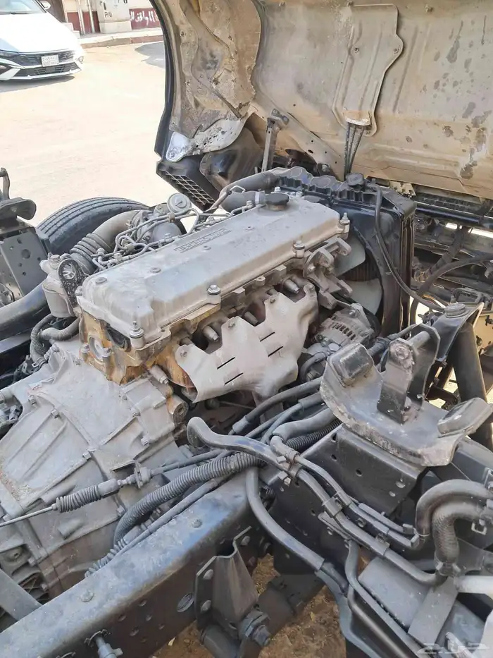 دينا ايسوزو 2005 10