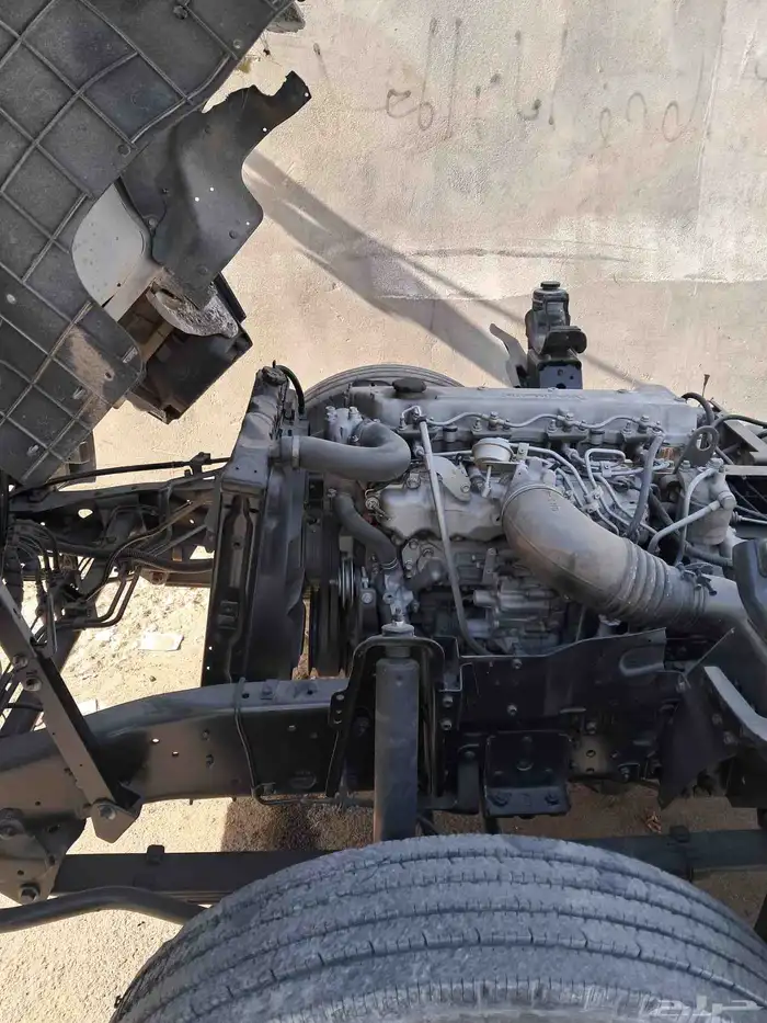 دينا ايسوزو 2005 15