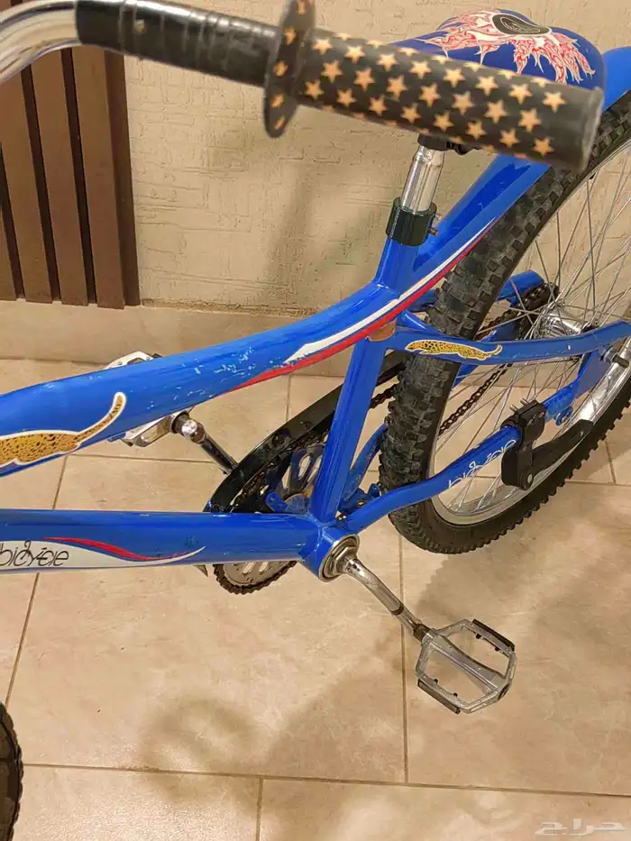 سيكل كوبرا 6