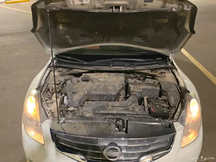 نيسان التيماء 2010 19