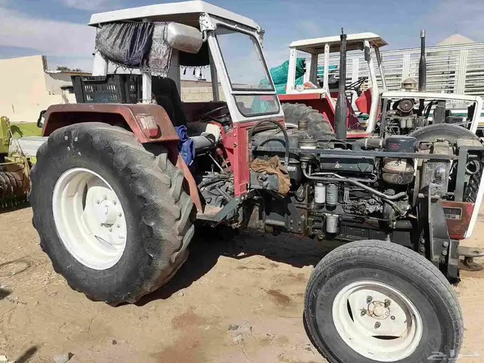 لابنا  لاس 6