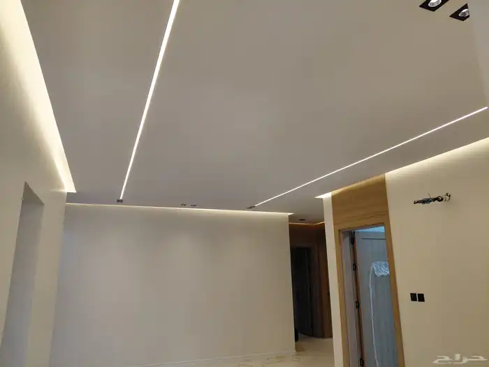 دهان...أنا رسام في المنازل والمباني 1