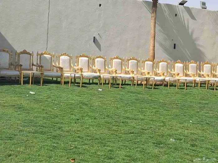 تأجير كراسي وفرش واناره وطاولات طعام كراسي كلاسيكي 3