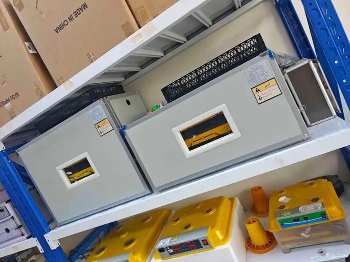 فقاسات جميع الأحجام مع ضمان ثلاث سنين 1