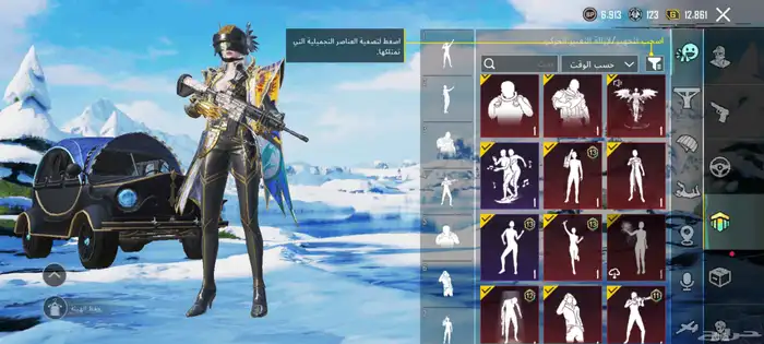 حساب ببجي رخيص 13