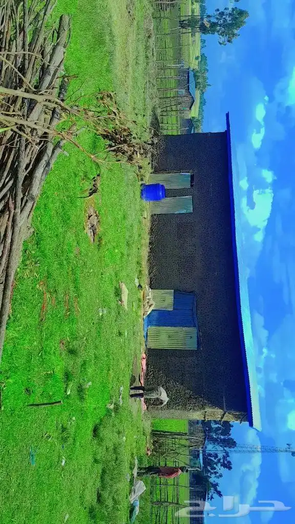 أرغب في سكن 6 غرف 4 حمامات جديدة 0